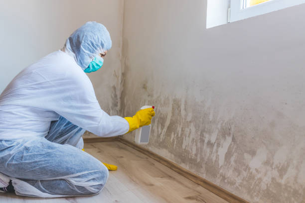 Hvac And Air Duct Mold Remediation inspection of HVAC system in Rawlings
