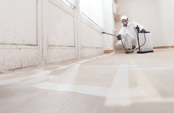 Black mold remediation team in Rawlings